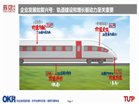 华为2020年TUP报道